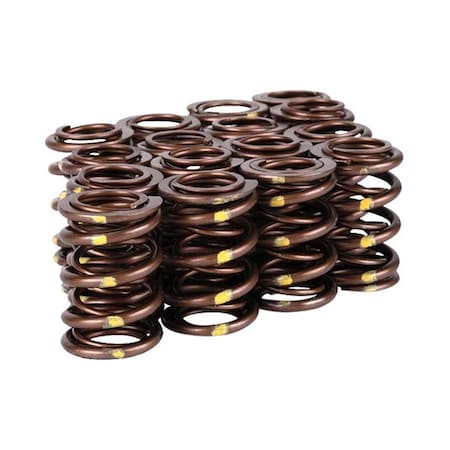 Skunk 2 Racing Pro-Series XP Racing Valve Spring Kit 311-05-7350